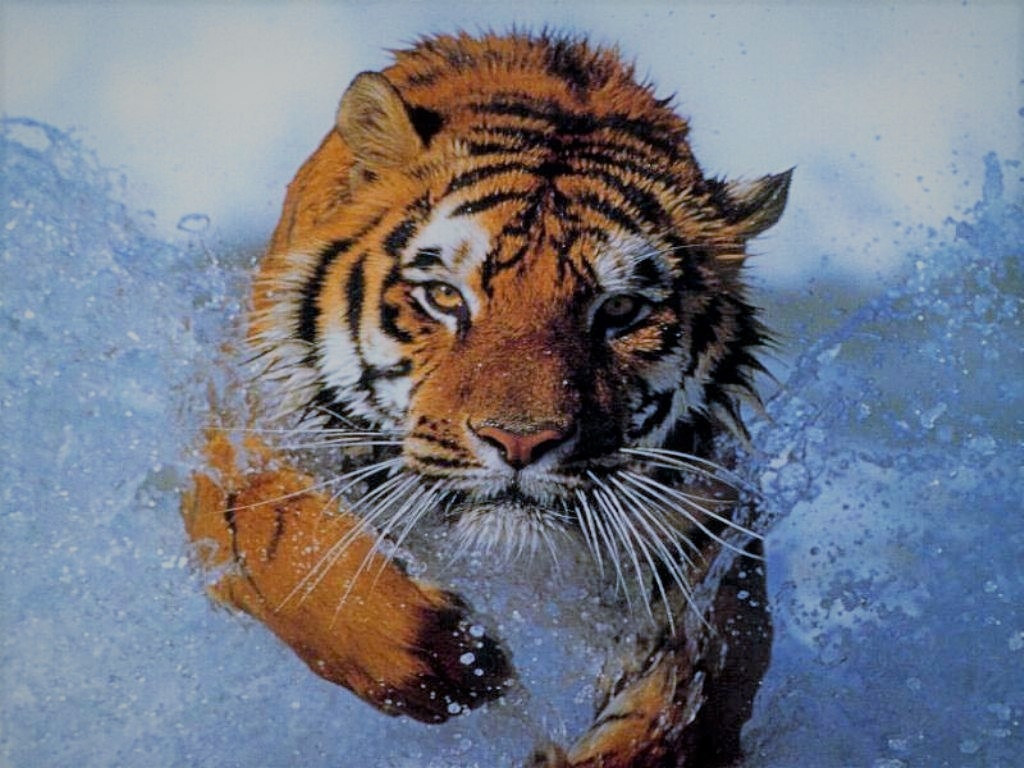 ost tigre et dragon oldies HQ